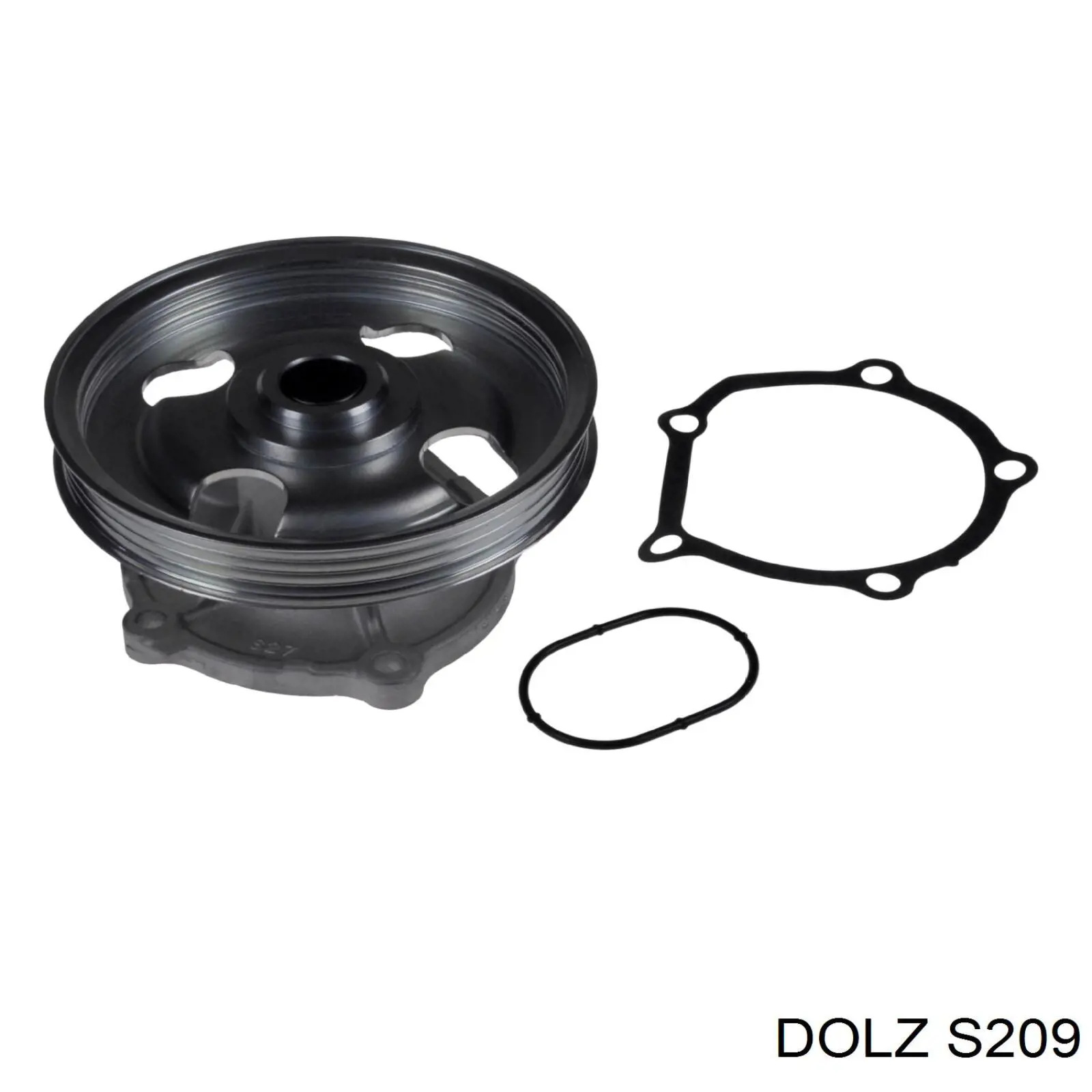 Comprar S209 Dolz Bomba de agua para motor
