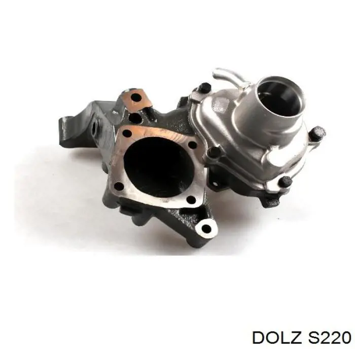 S220 Dolz Bombeadora de agua, completo con caja