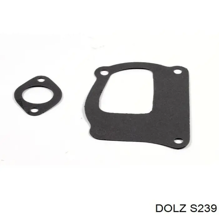 Comprar S239 Dolz Bomba de agua para motor