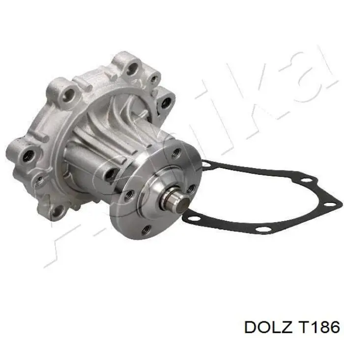 Bomba de agua T186 Dolz