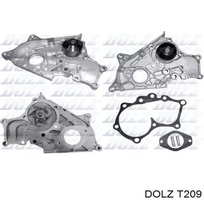 Comprar T209 Dolz Bomba de agua para motor