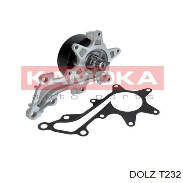 Comprar T232 Dolz Bomba de agua para motor