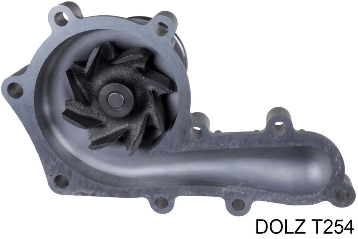 Comprar T254 Dolz Bomba de agua para motor