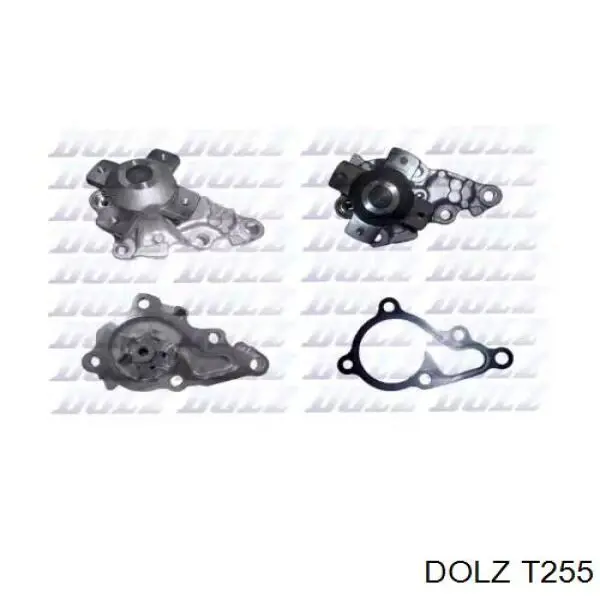 Comprar T255 Dolz Bomba de agua para motor