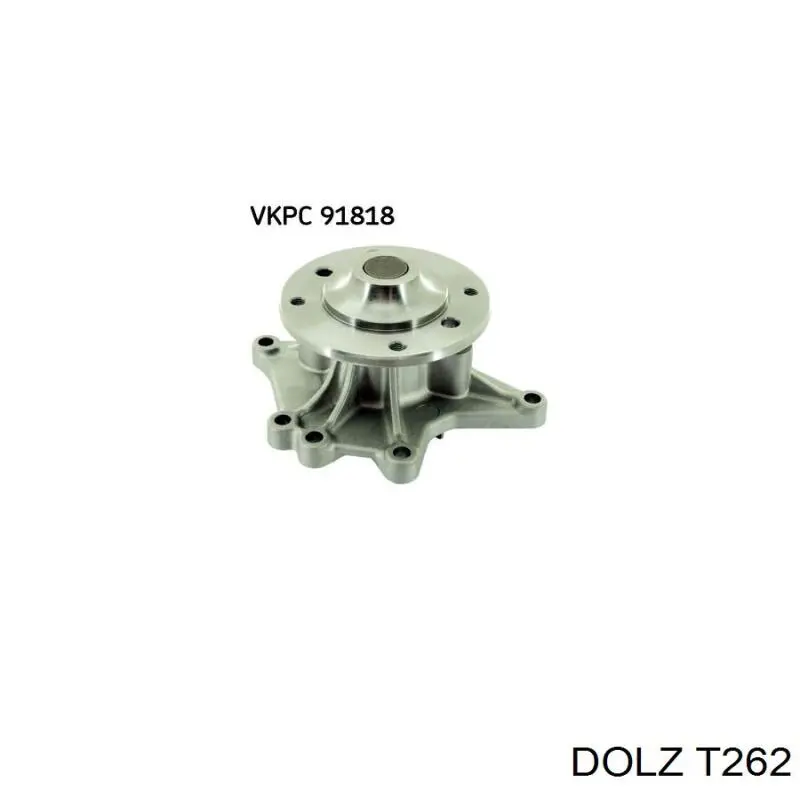 Comprar T262 Dolz Bomba de agua para motor