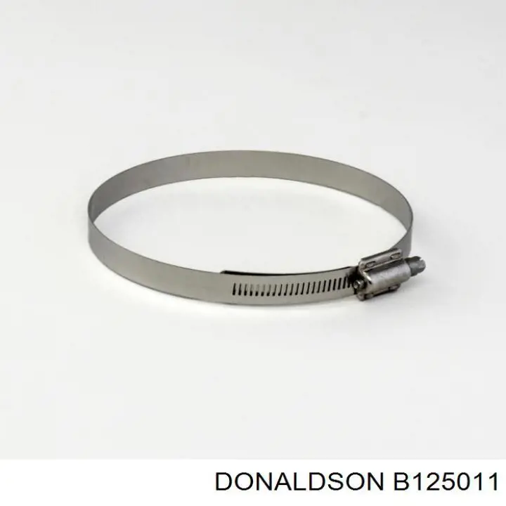 B125011 Donaldson