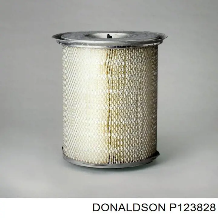 P123828 Donaldson 