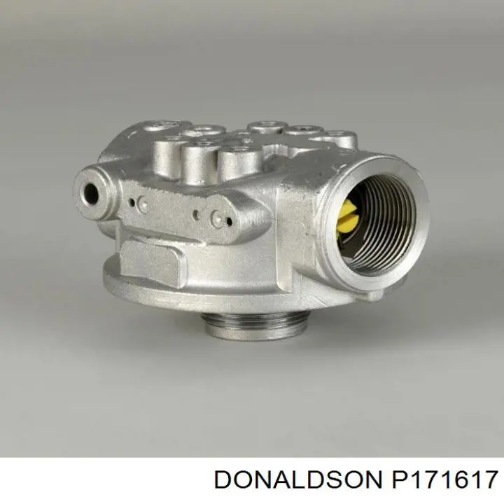 P171617 Donaldson 