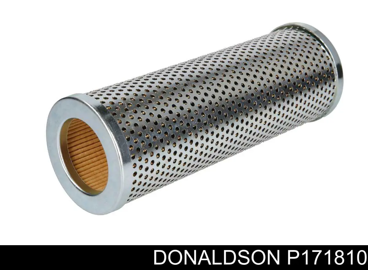 P171810 Donaldson 