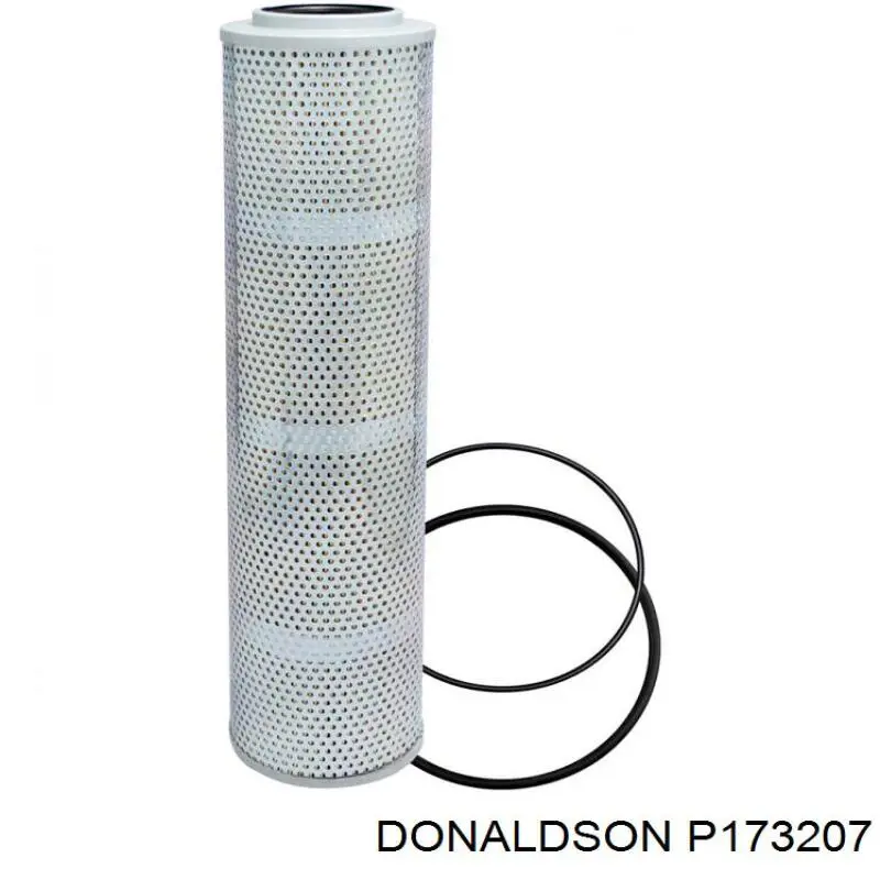 P173207 Donaldson 