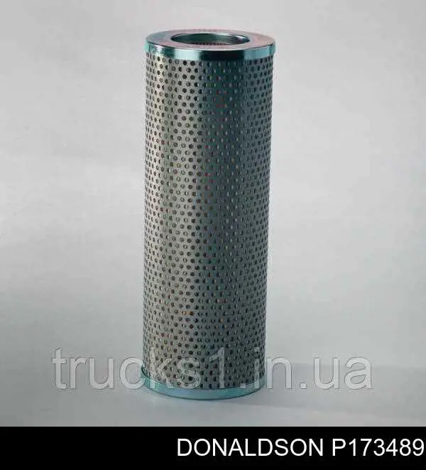 P173489 Donaldson Filtro del sistema hidráulico
