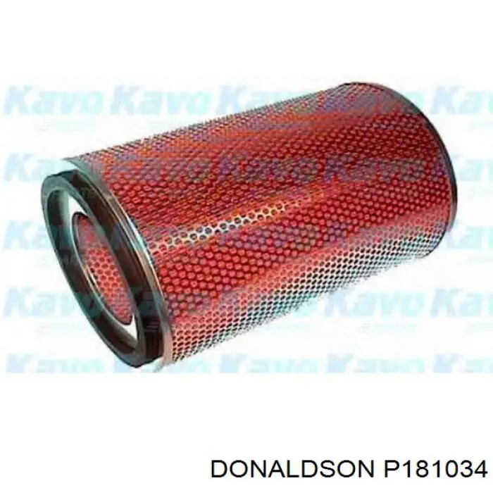 P181034 Donaldson Filtro de aire de motor