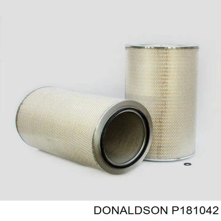 P181042 Donaldson