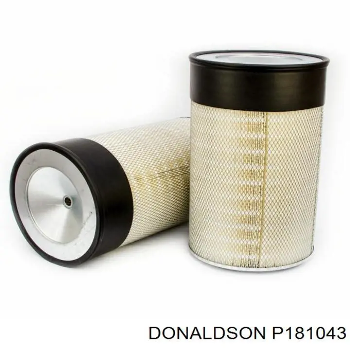 P181043 Donaldson 