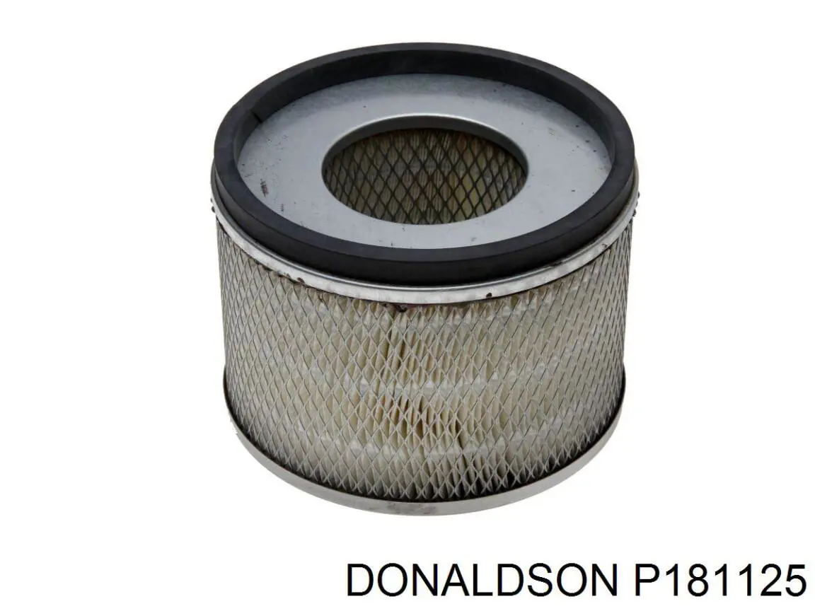Comprar P181125 Donaldson Filtro de aire