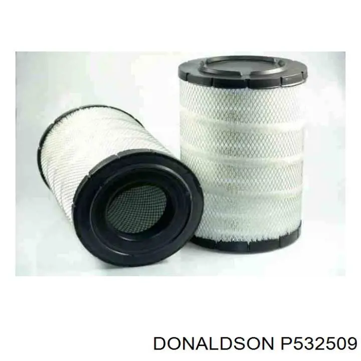 El filtro de aire Donaldson P532509 precio, desde 85,53 EUR