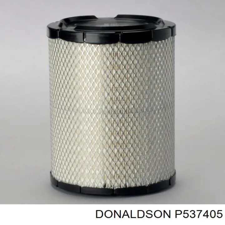 El filtro de aire Donaldson P537405 precio, desde 52,29 EUR