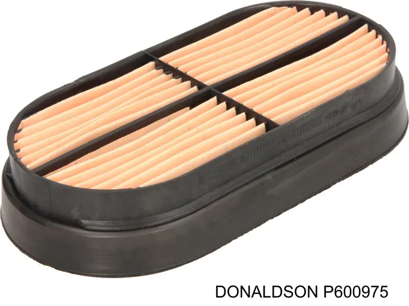 Comprar P600975 Donaldson Filtro de aire