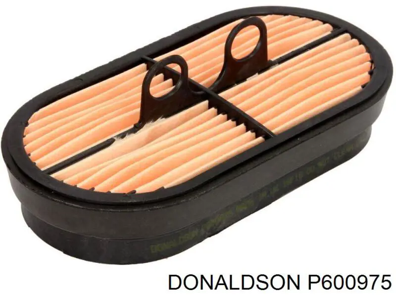 El filtro de aire Donaldson P600975 precio, desde 29,34 EUR