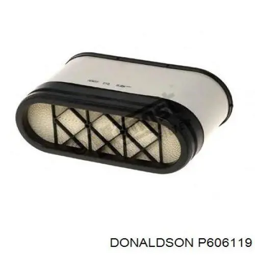P606119 Donaldson Filtro de aire de motor