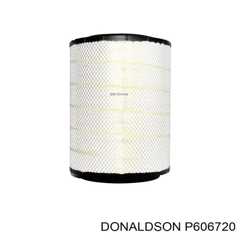 Comprar P606720 Donaldson Filtro de aire
