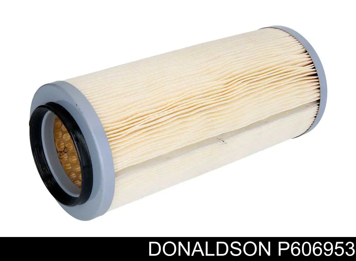 P606953 Donaldson Filtro de aire de motor