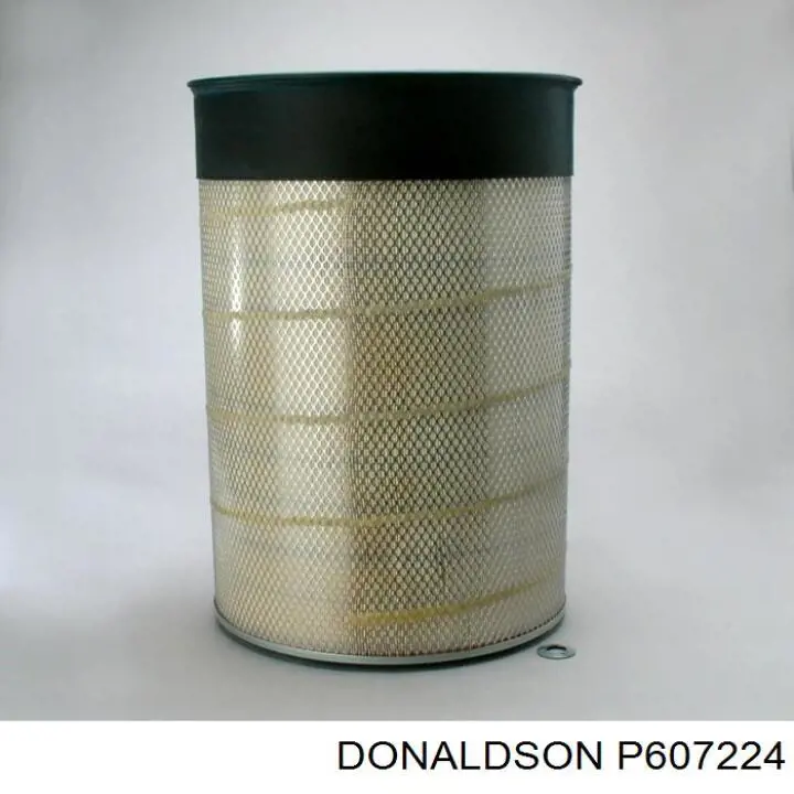 P607224 Donaldson