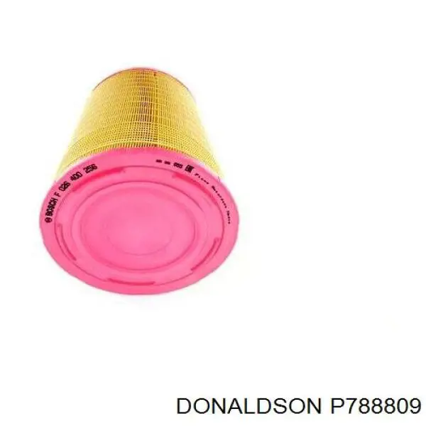 P788809 Donaldson filtro de aire