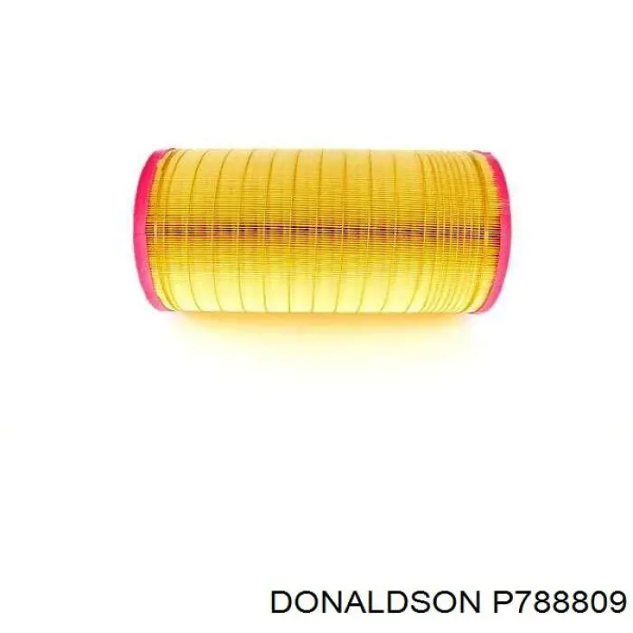 El filtro de aire Donaldson P788809 precio, desde 53,81 EUR