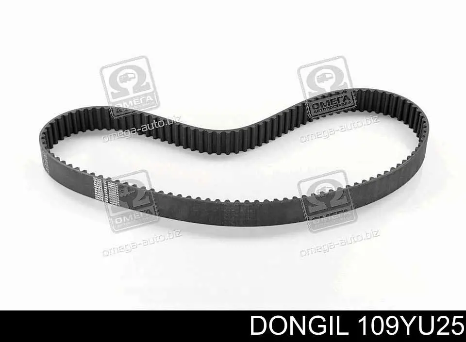 109YU25 Dongil Correa dentada
