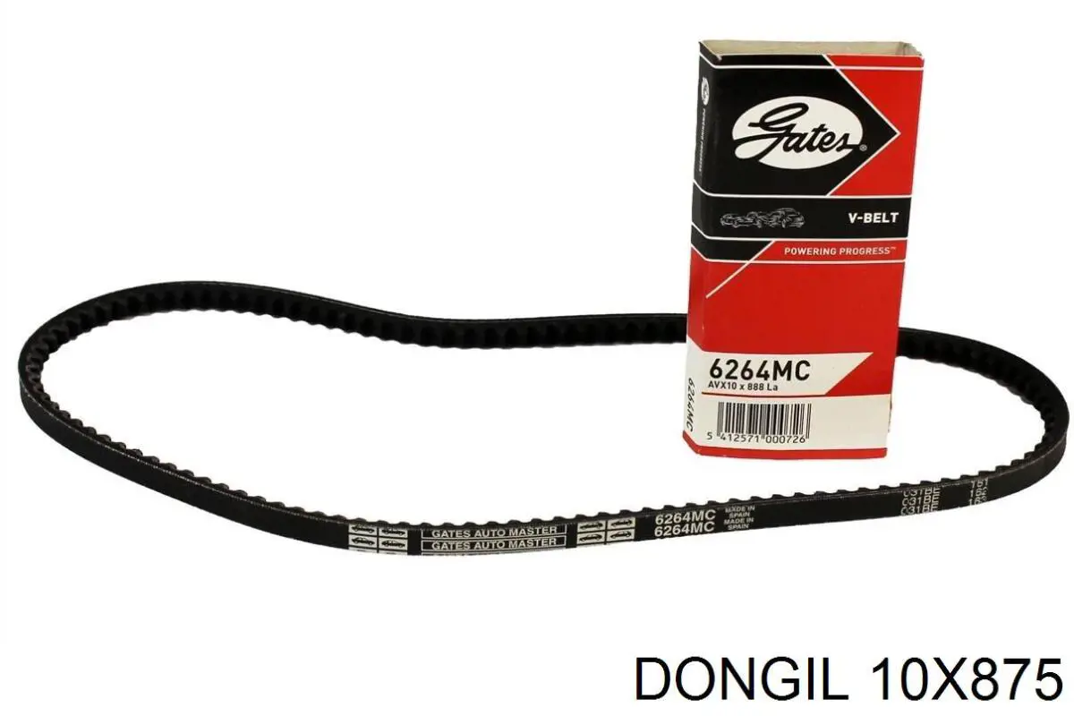 10X875 Dongil correa trapezoidal