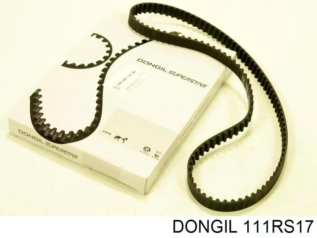 111RS17 Dongil correa distribucion