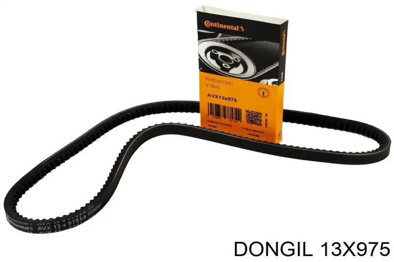 13X975 Dongil Correa poly v