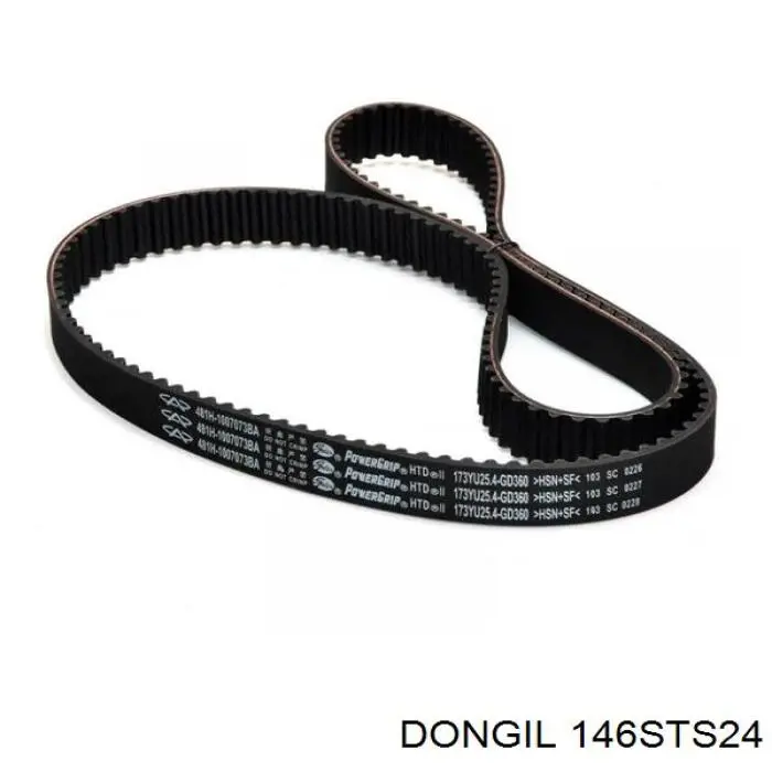 146STS24 Dongil Correa dentada