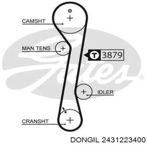 2431223400 Dongil correa distribucion