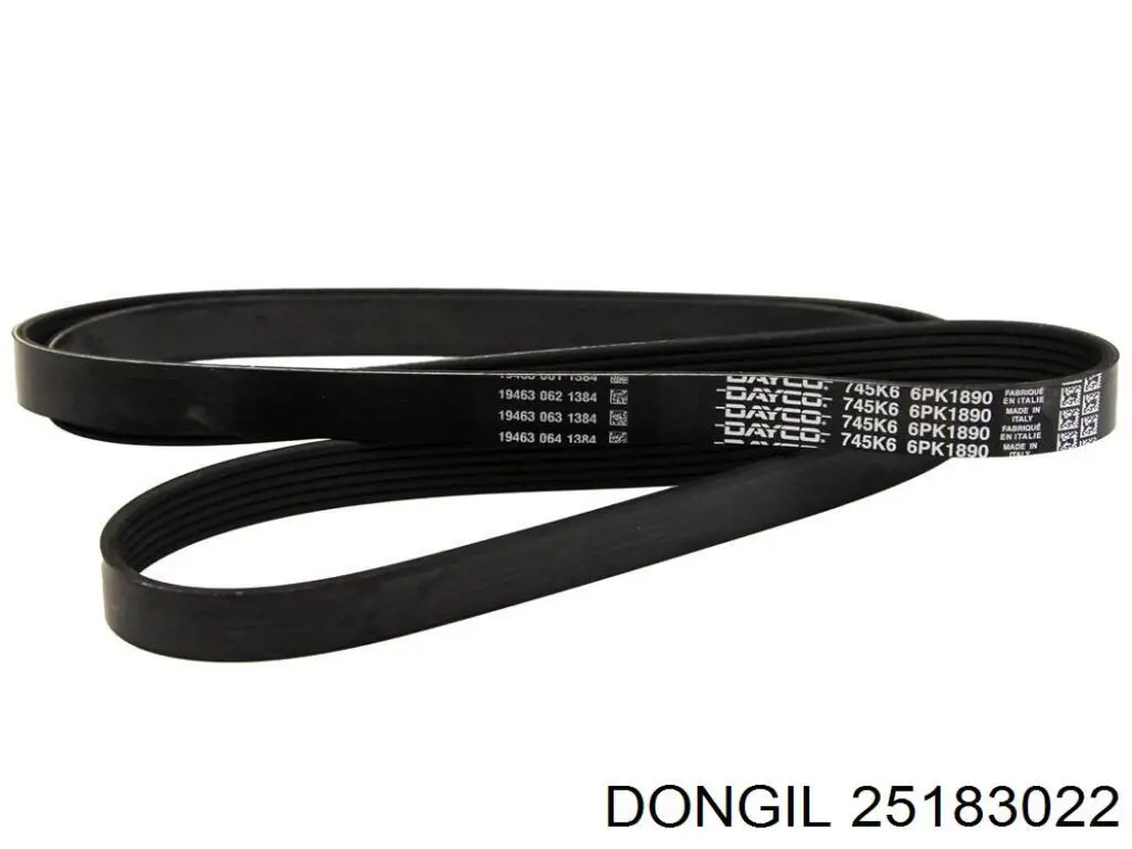 25183022 Dongil correa trapezoidal