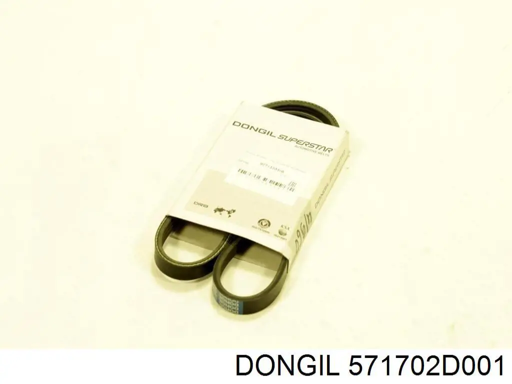 571702D001 Dongil correa trapezoidal