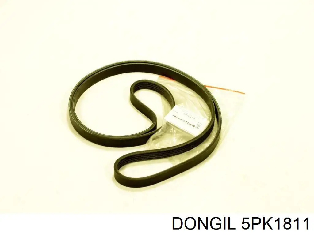 5PK1811 Dongil correa trapezoidal