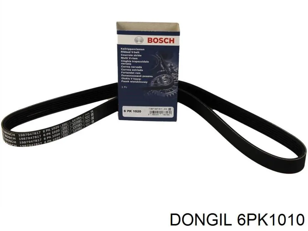 6PK1010 Dongil correa trapezoidal