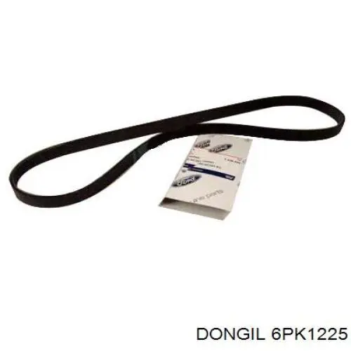 6PK1225 Dongil correa trapezoidal