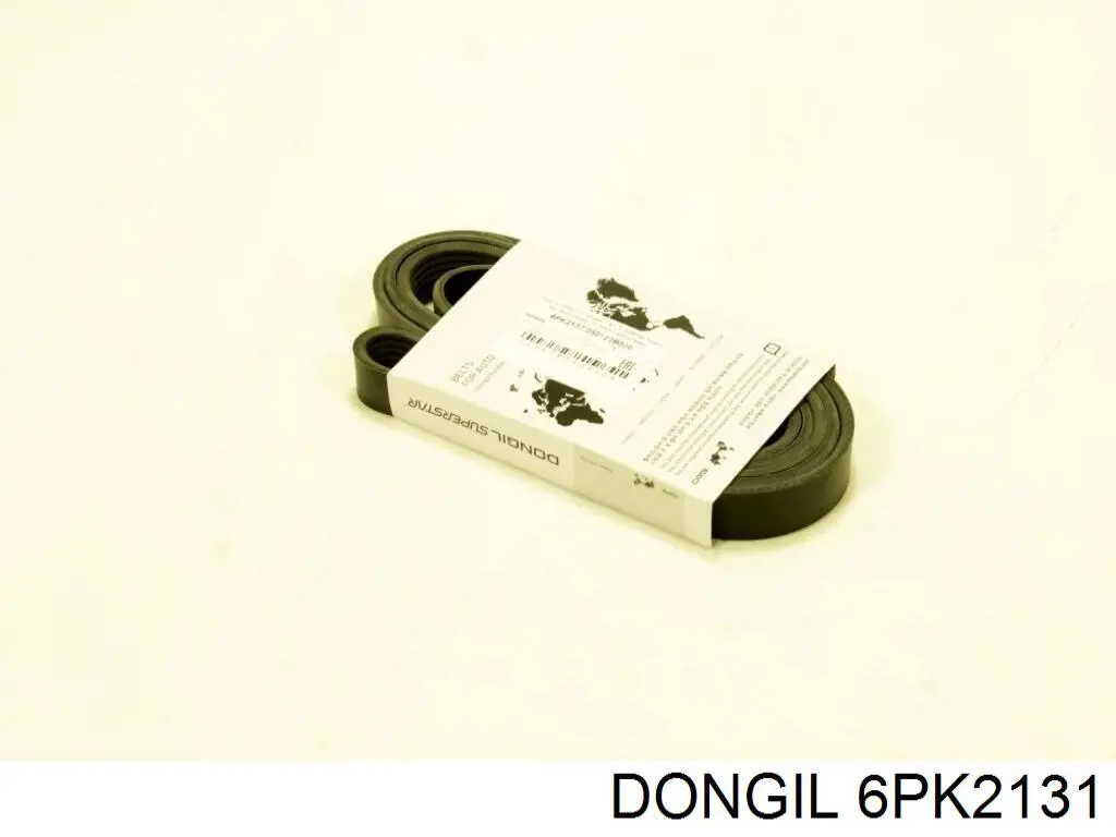 6PK2131 Dongil Correa poly v