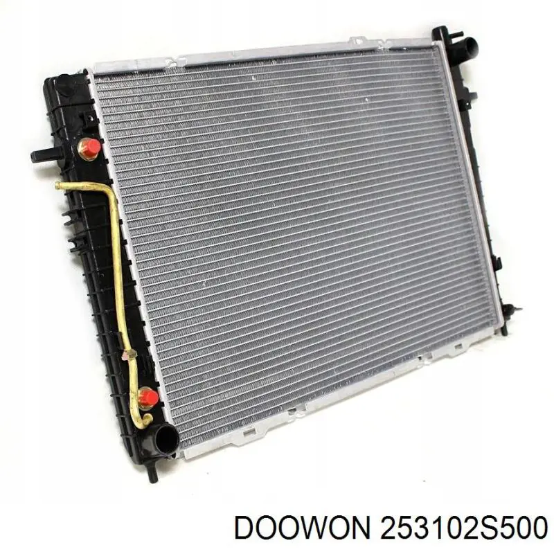 253102S500 Doowon radiador