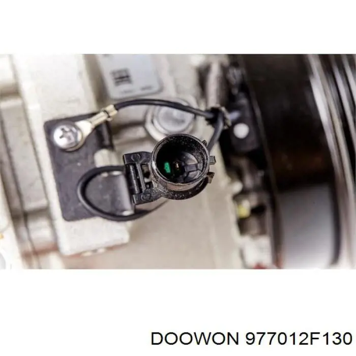 977012F130 Doowon