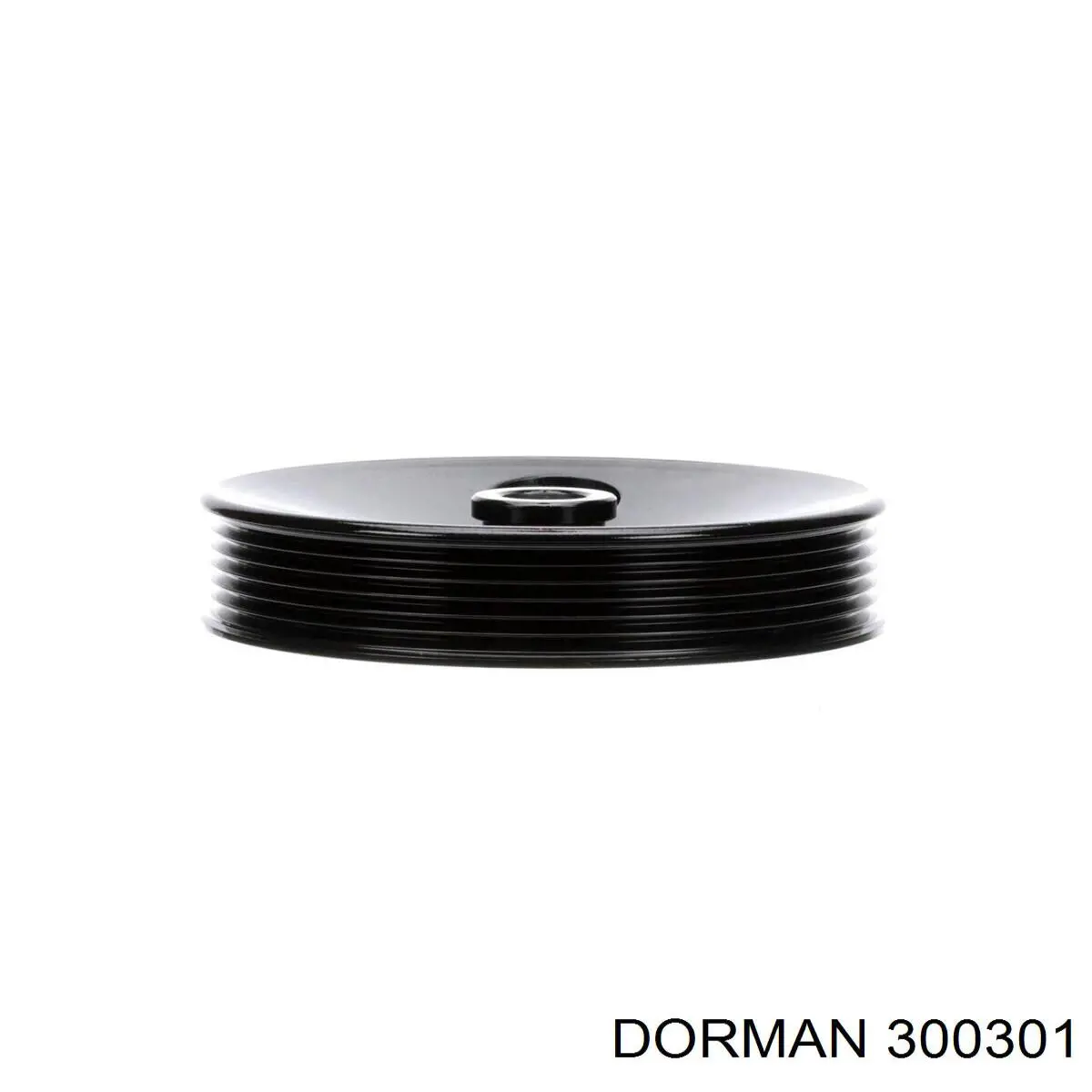 300301 Dorman polea, servobomba