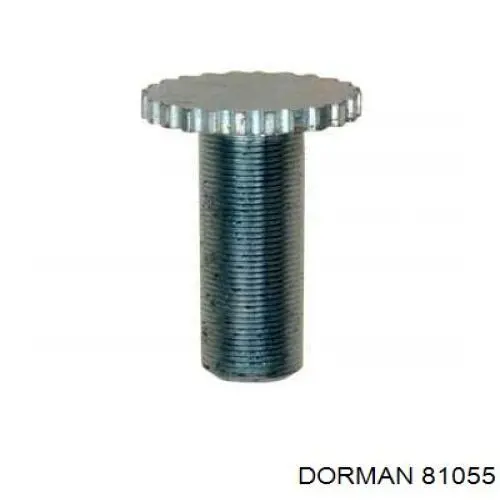 81055 Dorman