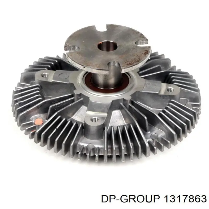 1317863 DP Group embrague, ventilador del radiador