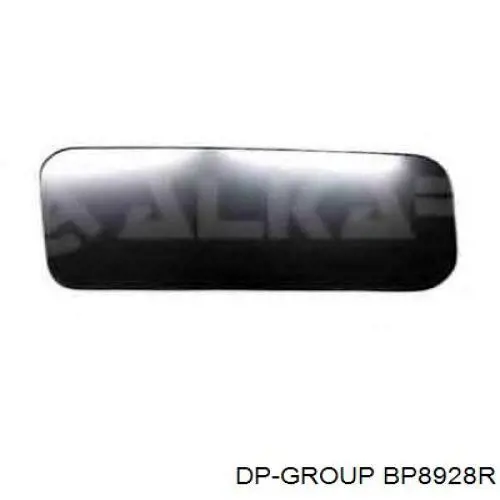 BP8928-R DP Group cristal de espejo retrovisor exterior izquierdo