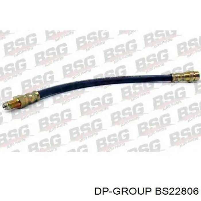 BS22806 DP Group latiguillo de freno trasero