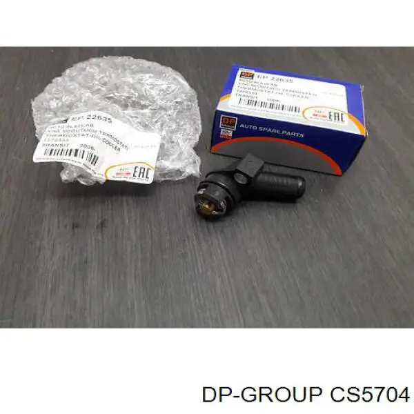 CS5704 DP Group caja del termostato
