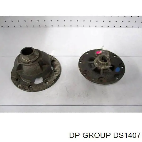 Brida del piñón del diferencial trasero DP Group DS1407 precio, desde 18,52 EUR